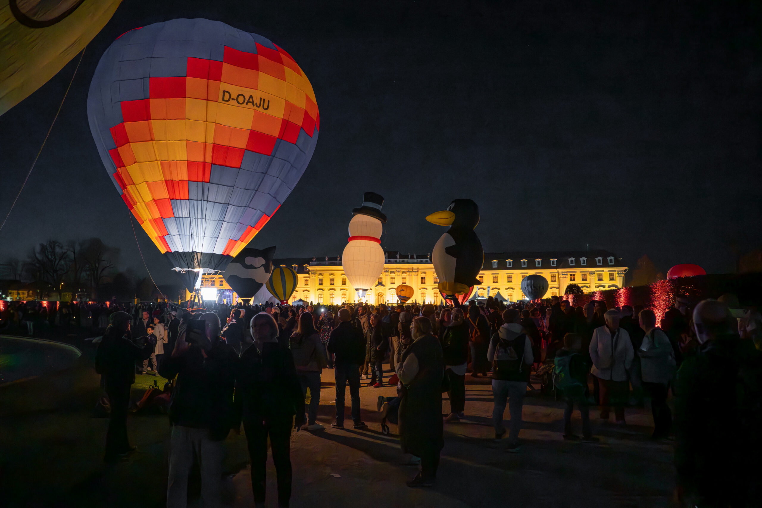 Ballonblühen Ludwigsburg