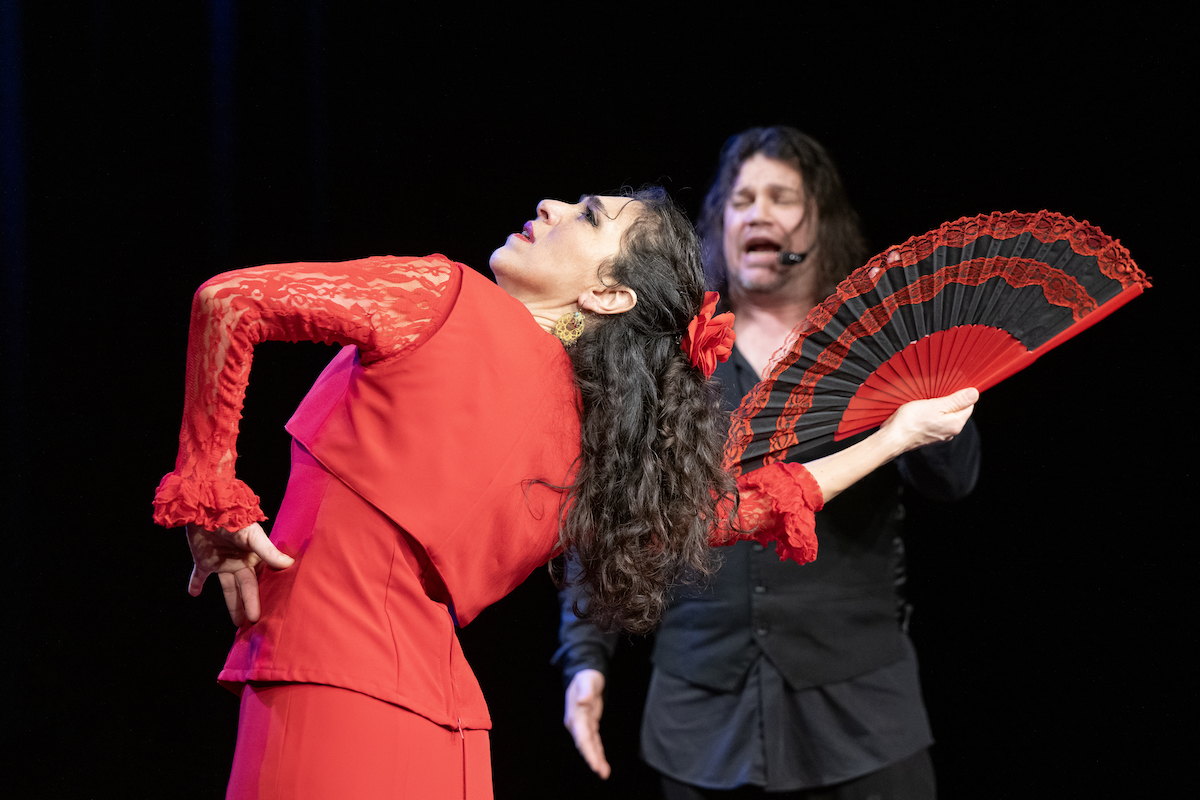 Tanz und Theaterwerkstatt e.V.